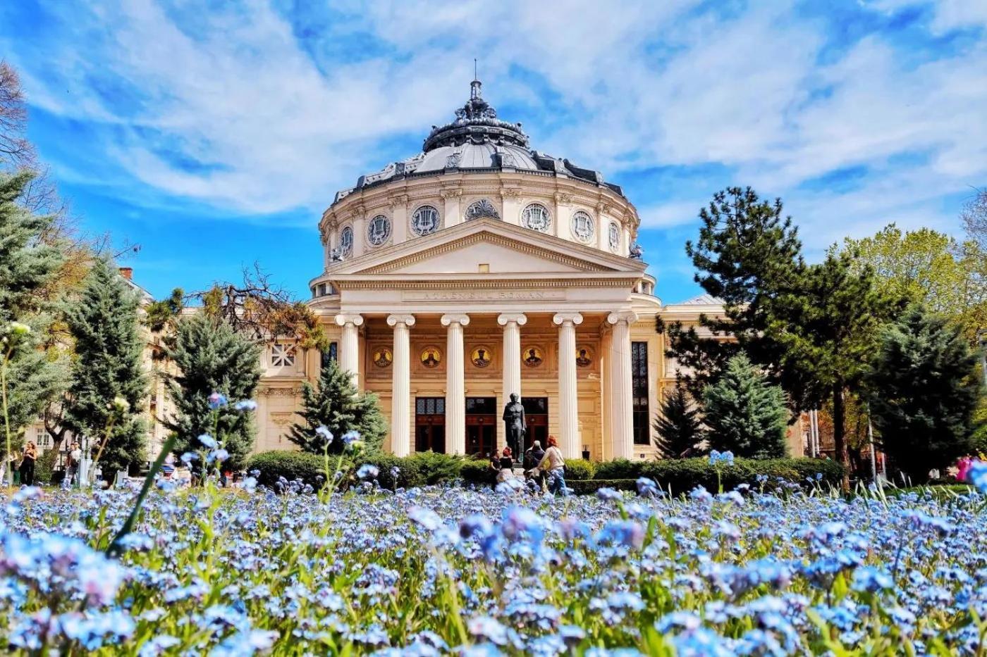 Like Home Stirbei Bukarest Exterior foto